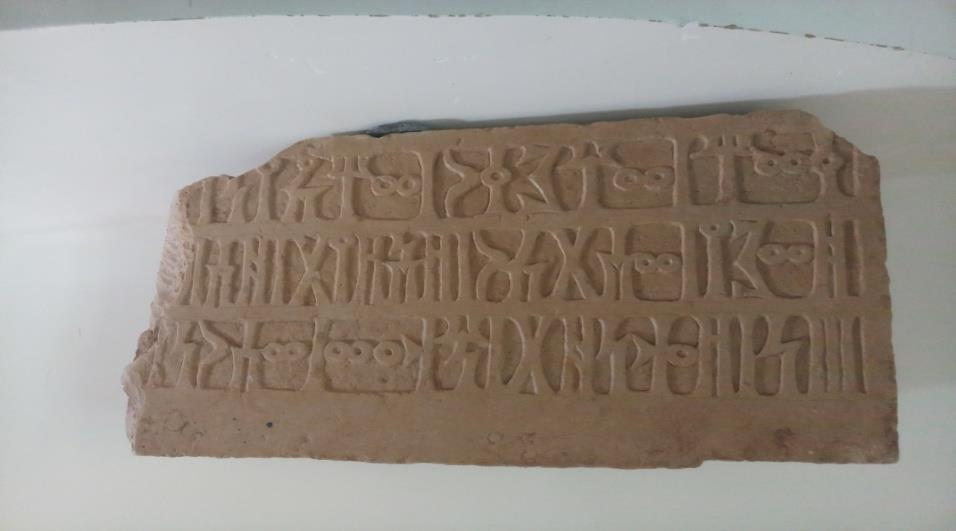 الشرعي بينون28